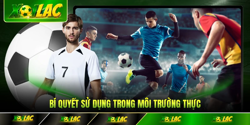 Bí quyết sử dụng trong môi trường thực