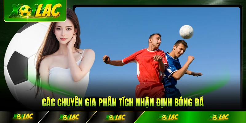 Các chuyên gia phân tích nhận định bóng đá chính xác
