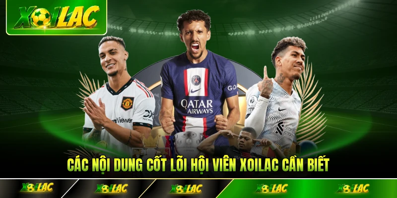 Các nội dung cốt lõi hội viên Xoilac cần biết