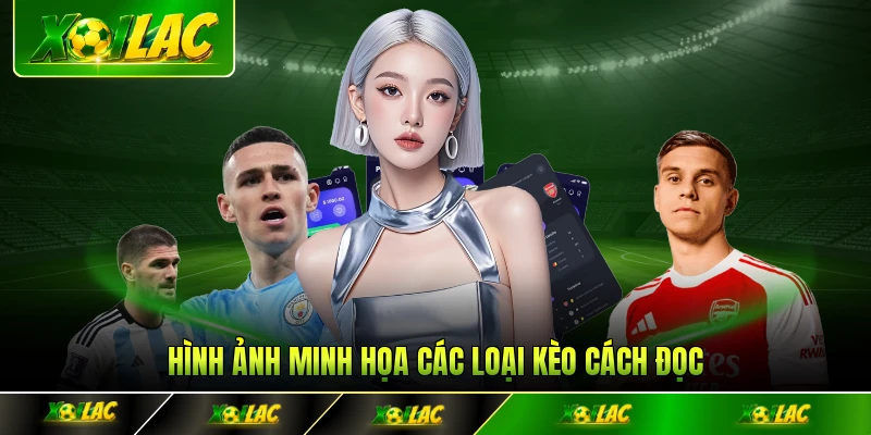 Hình ảnh minh họa các loại kèo cách đọc kèo nhà cái