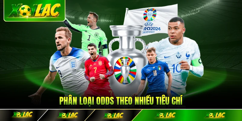 Phân loại odds theo nhiều tiêu chí